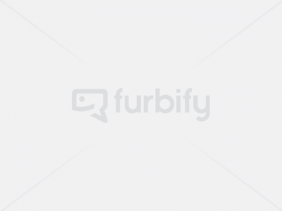 Notebook Lenovo ThinkPad T14 Gen1 (16GB)